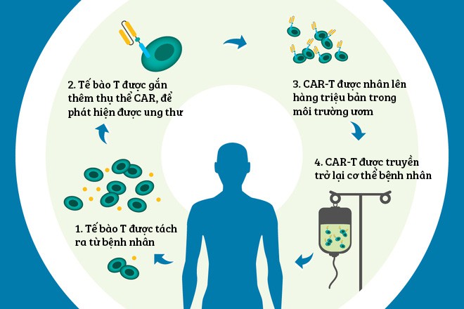  Tóm tắt phác đồ điều trị ung thư bằng liệu pháp CAR-T 