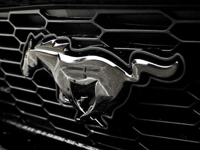  Logo dòng xe Mustang của hãng xe Ford. 