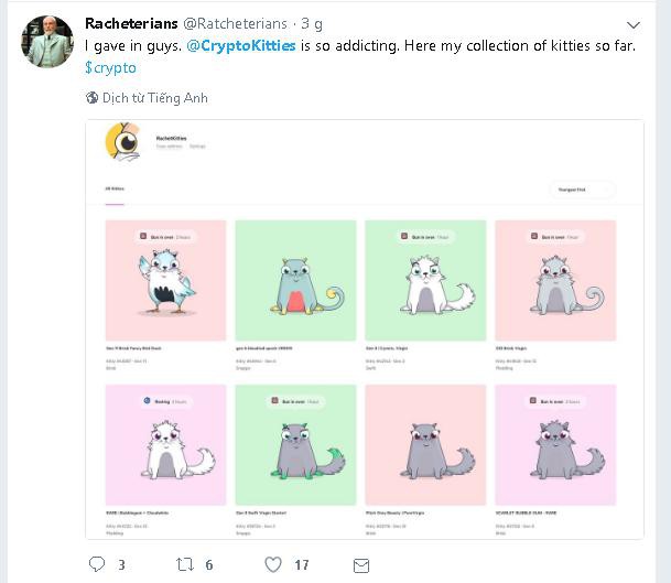  Bộ sưu tập mèo ảo của một người được chia sẻ trên Twitter. 