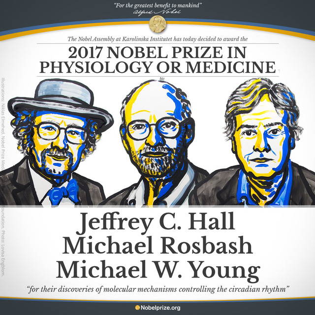  Giải Nobel Y học năm 2017 đã được trao cho ba nhà khoa học: Jeffrey Hall, Michael Rosbash và Michael Young ghi nhận sự phát hiện cơ chế phân tử kiểm soát nhịp sinh học 