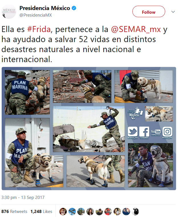  Hình ảnh của Frida xuất hiện trên trang mạng xã hội của đơn vị quân đội Mexico được rất nhiều người yêu mến và quan tâm 