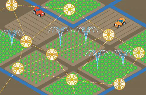  FarmBeats - IoT cho nông nghiệp. 