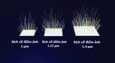  Kích cỡ điểm ảnh trên cảm biến càng lớn sẽ giúp thu ánh sáng tốt hơn 