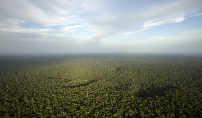 
 

Rừng nhiệt đới luôn luôn là pá phổi xanh của trái đất.

 
