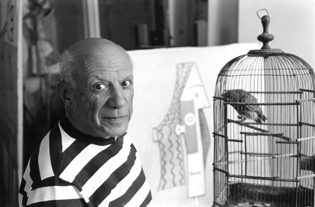 Liên tục mỗi ngày trong 71 năm liên tiếp, Picasso cho ra đời một sáng tác mới.