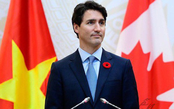 Bạn sẽ ngạc nhiên khi biết bông hoa đỏ cài áo Thủ tướng Justin Trudeau và câu chuyện lịch sử đằng sau - Ảnh 1.