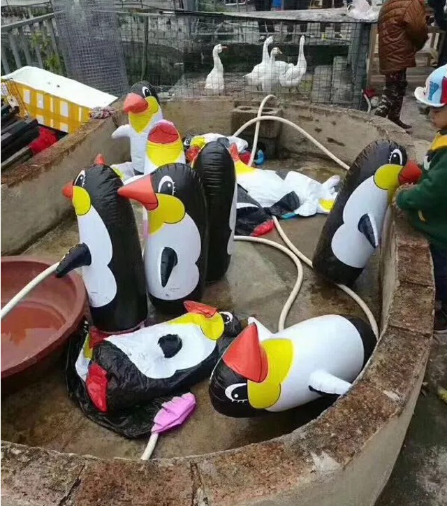 Trung Quốc: Mua vé mất 15 tệ vào vườn bách thú, chỉ thấy toàn gà qué và chim cánh cụt bơm hơi - Ảnh 7.