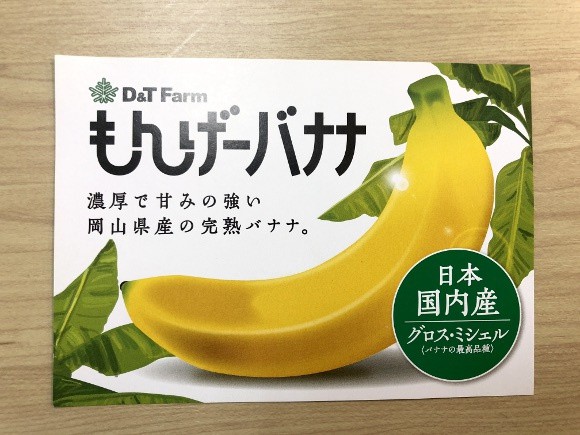 Nhật Bản: Xuất hiện loại chuối siêu hiếm ăn được cả vỏ, không bán theo nải, 130.000 đồng/quả - Ảnh 1.