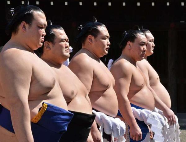 Thế giới u ám của võ sĩ sumo tại Nhật: Không lương, không điện thoại, không bạn gái - Ảnh 11.