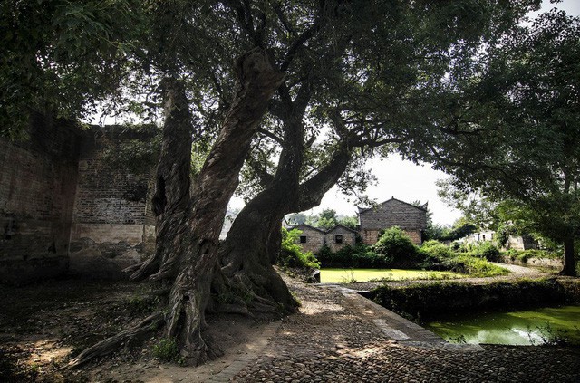 Hành trình biến ngôi làng cổ hoang tàn 500 năm tuổi thành khu nghỉ dưỡng năm sao - Ảnh 4.