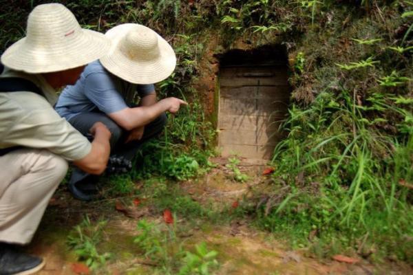  Ngồi nghỉ ở hầm khoai tây, lão nông phát hiện ra cả kho báu mà bấy lâu nay không biết - Ảnh 5.