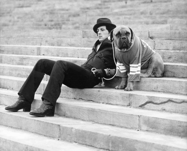 
Sylvester Stallone bên cạnh chú chó Butkus
