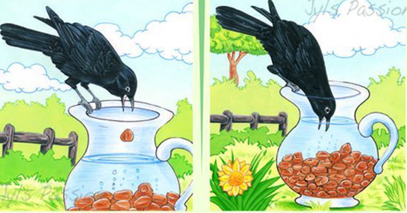 Chuyện con quạ nhặt sỏi uống nước l&agrave; c&oacute; thật, v&agrave; cũng kh&ocirc;ng ngạc nhi&ecirc;n nếu n&oacute; d&ugrave;ng ống h&uacute;t đ&acirc;u - Ảnh 1.