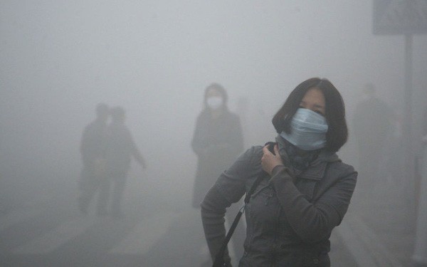 Viện Hàn lâm Khoa học Mỹ: Hít phải không khí ô nhiễm có thể làm giảm trí thông minh - Ảnh 1.