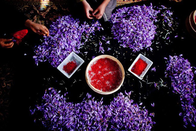 Bí mật thú vị của saffron - gia vị đắt nhất thế giới gần 1 tỷ/kg từng được Nữ hoàng Ai Cập dùng dưỡng nhan sắc - Ảnh 3.
