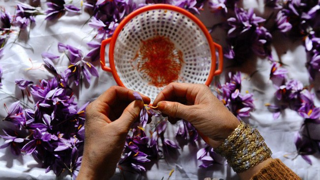 Bí mật thú vị của saffron - gia vị đắt nhất thế giới gần 1 tỷ/kg từng được Nữ hoàng Ai Cập dùng dưỡng nhan sắc - Ảnh 6.