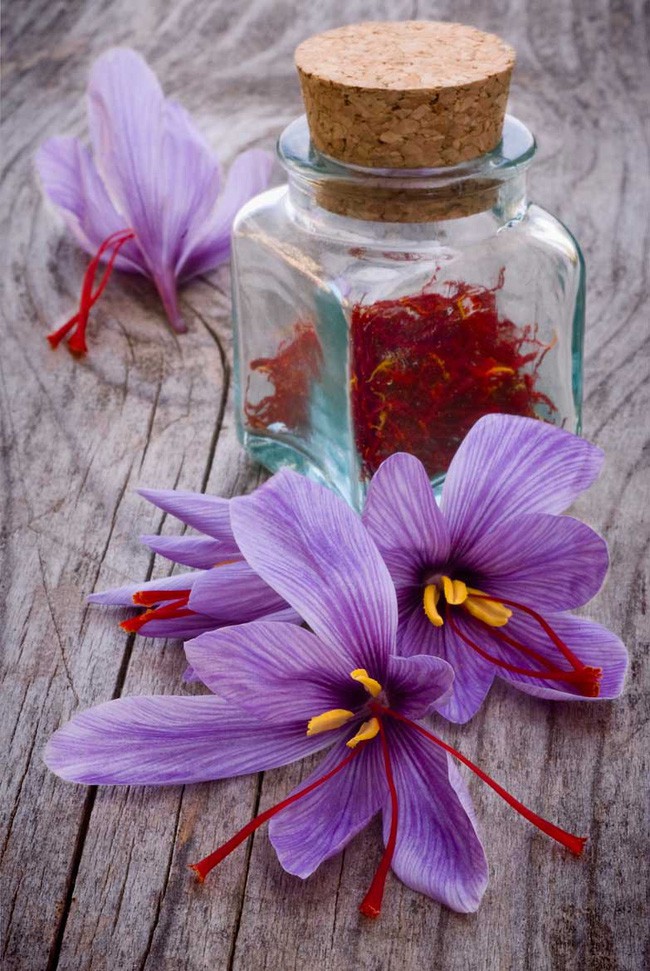 Bí mật thú vị của saffron - gia vị đắt nhất thế giới gần 1 tỷ/kg từng được Nữ hoàng Ai Cập dùng dưỡng nhan sắc - Ảnh 8.