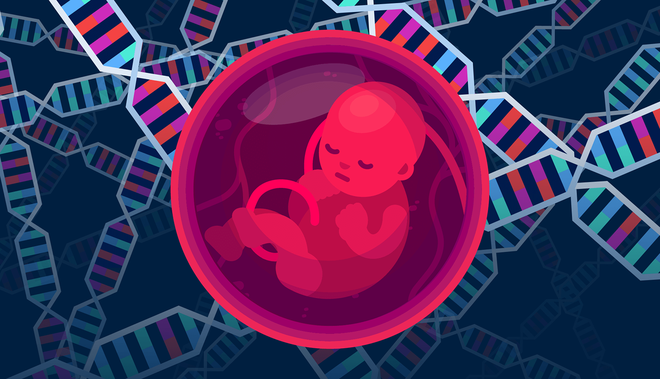 Nhà khoa học Trung Quốc đăng đàn bảo vệ 2 cô bé chỉnh sửa gen, tiết lộ còn một đứa bé nữa sắp ra đời - Ảnh 2.