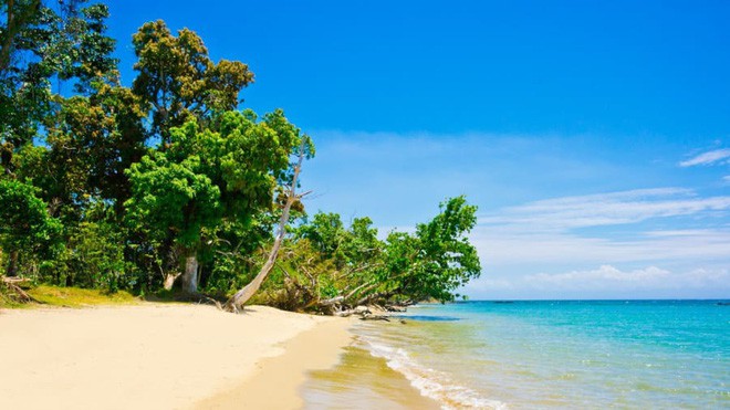 Bán đảo Masoala: Thiên đường nhiệt đới đa dạng bậc nhất thế giới nằm ở đây - Ảnh 3.