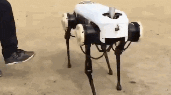 Trung Quốc cái gì cũng làm được, kể cả phiên bản nhái y hệt robot chó SpotMini của Boston Dynamics - Ảnh 4.