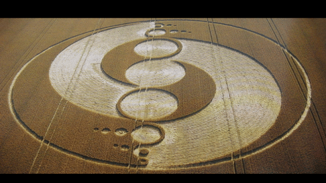 Thử nghiệm lâm nghiệp kéo dài gần nửa thế kỷ ở Nhật đã trở thành crop circles tuyệt đẹp - Ảnh 1.