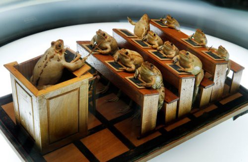 Tham quan bảo tàng ếch độc nhất vô nhị ở Thụy Sĩ với đầy những bất ngờ - Ảnh 6.
