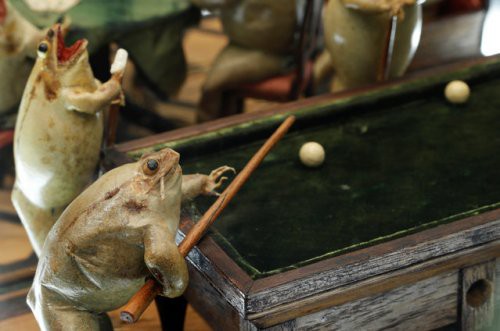 Tham quan bảo tàng ếch độc nhất vô nhị ở Thụy Sĩ với đầy những bất ngờ - Ảnh 8.