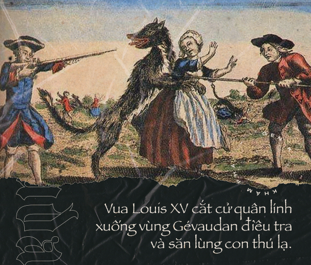 Quái thú ăn thịt người vùng Gévaudan: nỗi kinh hãi của người dân Pháp hồi thế kỷ 18 - Ảnh 3.