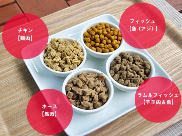 Nếm thức ăn cho chó, truy lùng mùi hôi và 5 công việc kỳ lạ chỉ có ở Nhật Bản - Ảnh 1.