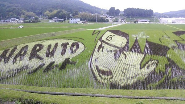 Làng thần kỳ Nhật Bản: Từ nghèo nhất đến nổi tiếng khắp cả nước, doanh số bán gạo tăng 400% nhờ biến ruộng lúa thành tranh - Ảnh 4.