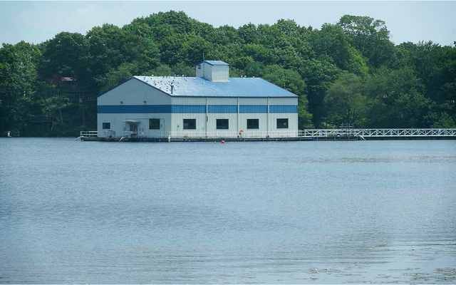  Hồ nước ngọt Dodge Pond ở Connecticut, nơi tiến sĩ Chan tìm kiếm những thể thực khuẩn 