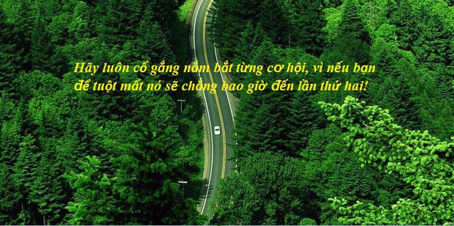  Chuyện cuối tuần: Câu chuyện về vị thương nhân bán bể cá và bài học hãy tự gắn cánh cửa nơi nhà bạn để cơ hội gõ vào - Ảnh 1.