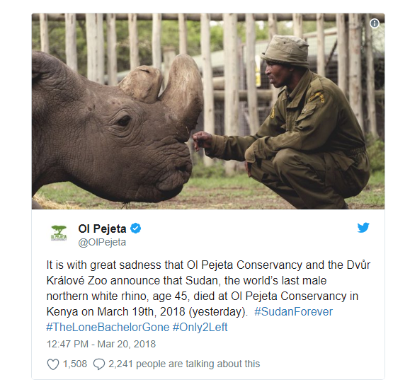 Sudan, con tê giác trắng đực cuối cùng trên trái đất đã chết - Ảnh 1.