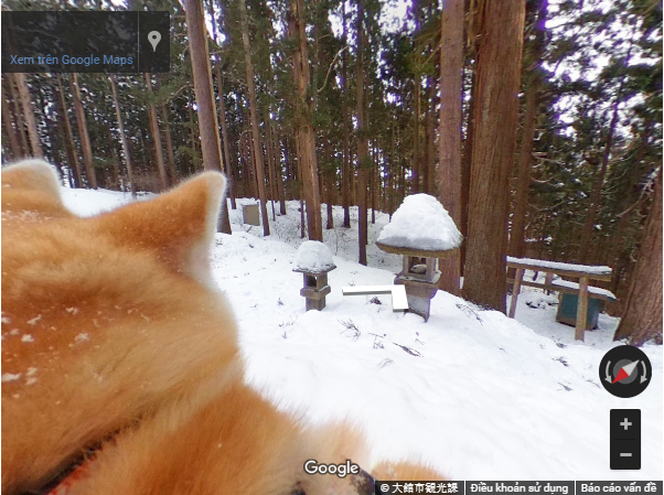 Khám phá quê nhà quốc khuyển Nhật qua góc nhìn của chó Akita Inu - Ảnh 8.