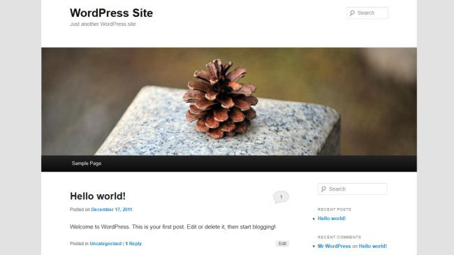 WordPress sắp tròn 15 tuổi: những điều bạn cần biết về dịch vụ hosting phổ biến nhất trên Internet này - Ảnh 2.