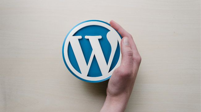 WordPress sắp tròn 15 tuổi: những điều bạn cần biết về dịch vụ hosting phổ biến nhất trên Internet này - Ảnh 3.