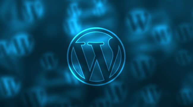 WordPress sắp tròn 15 tuổi: những điều bạn cần biết về dịch vụ hosting phổ biến nhất trên Internet này - Ảnh 4.