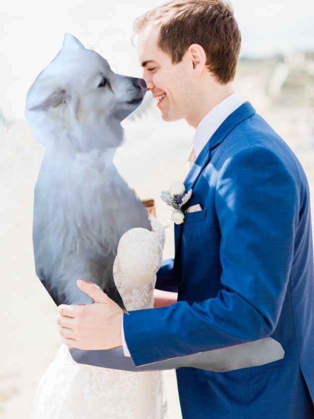Cầu xin internet đừng photoshop ảnh cưới của mình, Youtuber vẫn nhận được những tấm ảnh chế cực hài hước - Ảnh 5.