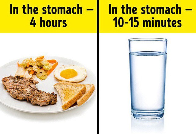 Uống nước trong khi ăn có hại hay không? Câu trả lời khiến nhiều người bất ngờ - Ảnh 2.