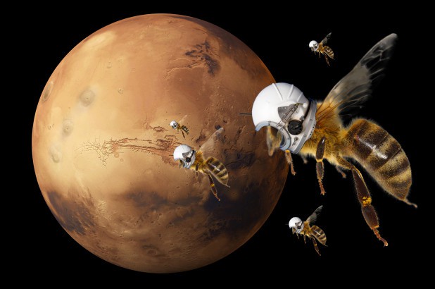 NASA bí mật phát triển robot giống loài ong để khám phá Sao Hỏa - Ảnh 2.