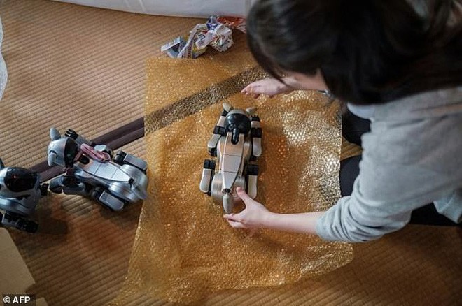 Kỳ lạ ngôi chùa Nhật Bản làm đám tang cho chó robot: máy móc cũng có linh hồn - Ảnh 2.