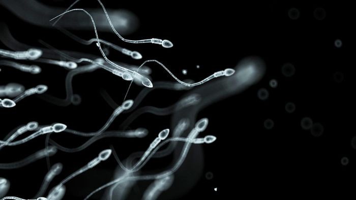 Nghiên cứu cho thấy phụ nữ lưu giữ ADN của mọi người đàn ông họ từng có quan hệ tình dục - Ảnh 3.