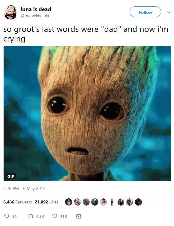 Groot nói một câu cực kỳ xúc động với Rocket nhưng chẳng ai hiểu, đạo diễn Guardians of the Galaxy hé lộ bí mật này khiến Internet phải vỡ òa - Ảnh 6.