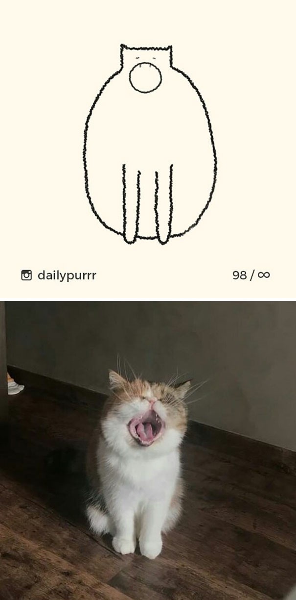 Instagram với cách vẽ mèo trong 2 nốt nhạc khiến Internet thích thú - Ảnh 18.