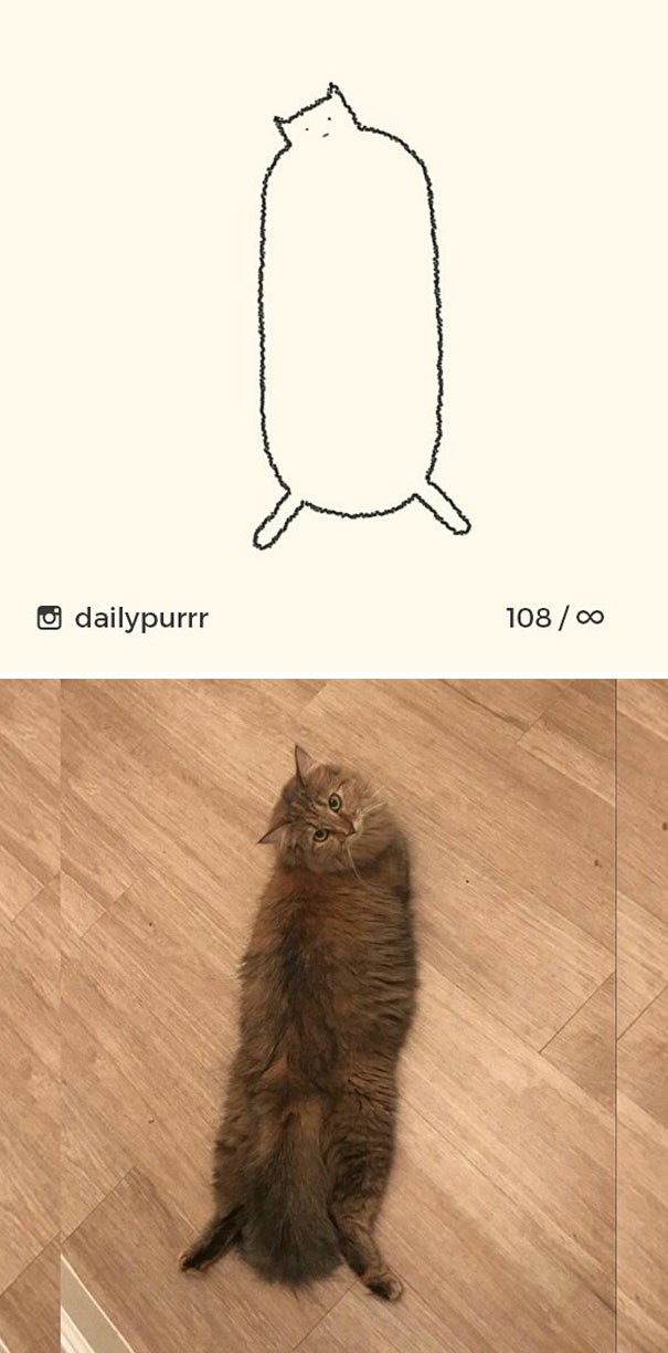Instagram với cách vẽ mèo trong 2 nốt nhạc khiến Internet thích thú - Ảnh 17.