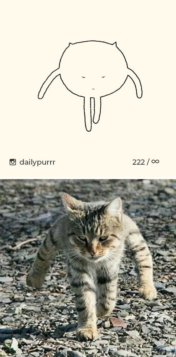 Instagram với cách vẽ mèo trong 2 nốt nhạc khiến Internet thích thú - Ảnh 11.
