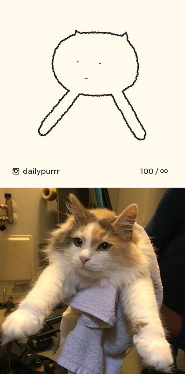 Instagram với cách vẽ mèo trong 2 nốt nhạc khiến Internet thích thú - Ảnh 19.