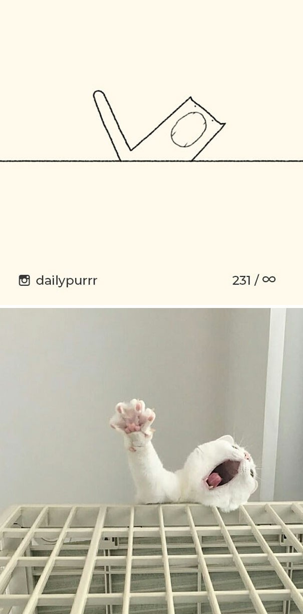 Instagram với cách vẽ mèo trong 2 nốt nhạc khiến Internet thích thú - Ảnh 1.