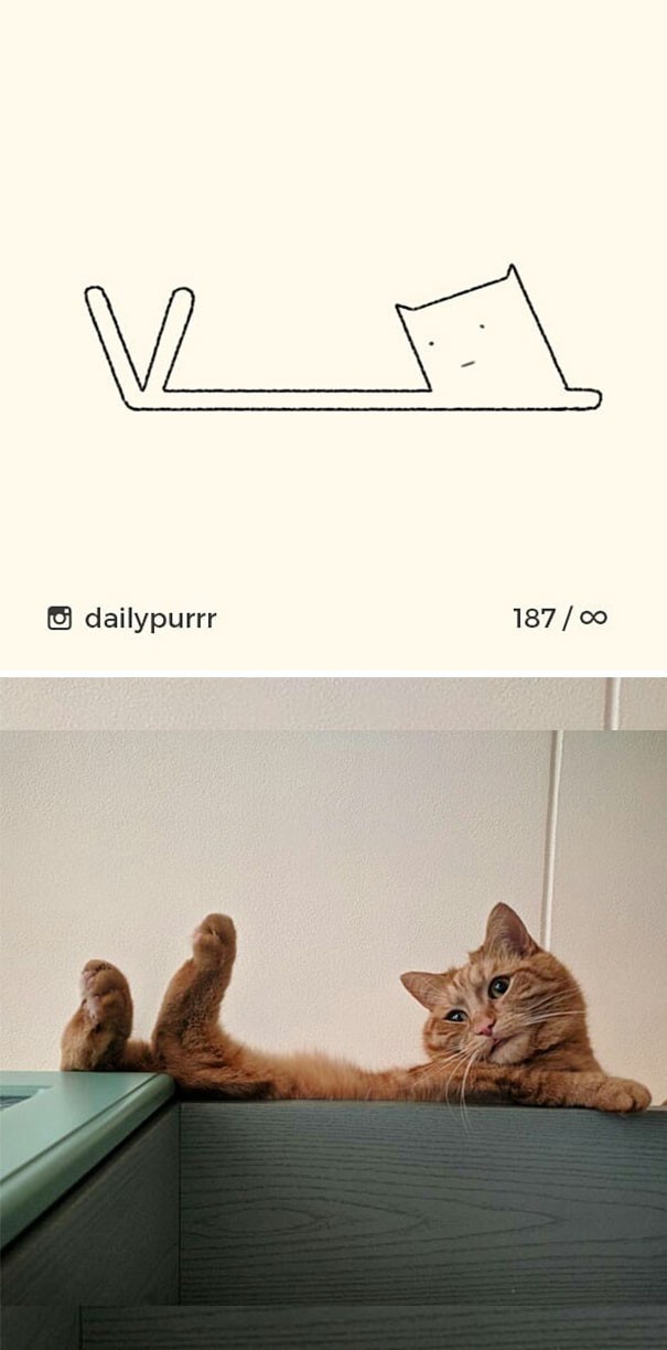 Instagram với cách vẽ mèo trong 2 nốt nhạc khiến Internet thích thú - Ảnh 12.