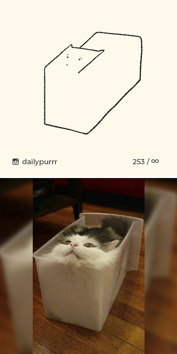 Instagram với cách vẽ mèo trong 2 nốt nhạc khiến Internet thích thú - Ảnh 3.